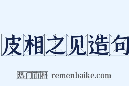 皮相之见造句是什么意思的图片